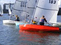 Albert Sailing Club image 5