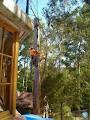 All Hills District Tree Services image 4