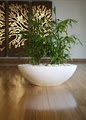 Ambius Indoor Plants Nursery image 3