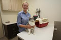 Anvet Beenleigh Pet Hospital image 3