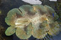 Aquasearch Aquarium image 3