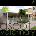 Ascot Veterinary Surgery logo