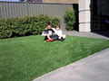 Aussie Synthetic Grass image 1