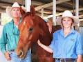 Australian Stock Horse Society image 4