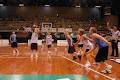 Basketball New South Wales image 5