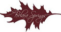 Belara Spring Pilates Studio and Forest Chalet logo