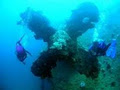 Bell Scuba Diving Perth image 2