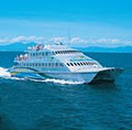 Big Cat Green Island Reef Cruises image 3