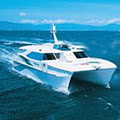 Big Cat Green Island Reef Cruises logo