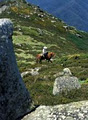 Bogong Horseback Adventures image 2