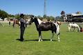 Bonsai Jacks Horse Riding School and Pony Stud image 2