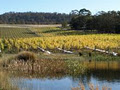 Boutique Wine Tours Tasmania image 2