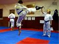 Branca Taekwondo - Sunbury Branch logo