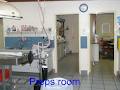 Broome Veterinary Hospital image 3
