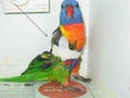 Burwood Bird and Animal Veterinary Hospital image 4