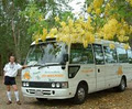 Cairns Discovery Tours logo