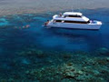 Calypso Reef Cruises image 2