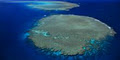Calypso Reef Cruises image 1