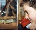 Canberra Reptile Sanctuary image 1