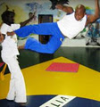 Capoeira Filhos da Bahia International Organization image 2