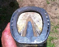 Central Coast Farrier Services image 1