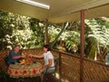 Chambers Wildlife Rainforest Lodges image 3