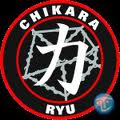 Chikara Martial Arts image 3