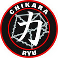 Chikara Martial Arts image 4