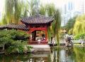 Chinese Garden Teahouse image 5