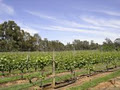 Ciavarella Oxley Estate Winery image 2