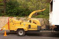 Cut & Clean Tree Lopping Services image 2