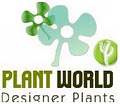 Designer Plants logo