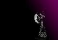 Diana Reyes Flamenco Studio image 2