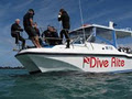 Dive Experience logo