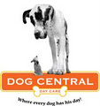 Dog Central Day Care image 3