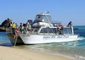 Dolphin Wild Island Cruises logo