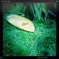 Dr. Ding Surfboard Repairs image 4