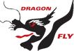 Dragon Fly Social Dragon Boat Club image 3