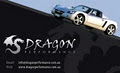 Dragon Performance logo