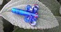 Dragonfly Blue Beads image 2