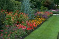 Drip Irrigation Melbourne, (Domestic & Commercial applications) image 5