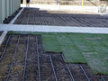 Drip Irrigation Melbourne, (Domestic & Commercial applications) image 6
