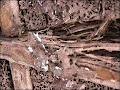 Dunrite Termite & Pest Control image 1