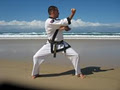East Coast Tang Soo Do Karate Academy image 3