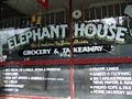 Elephant House image 6