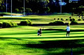 Emerald Lakes Golf Club logo