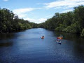 Evans River Cruises & Kayaks image 4