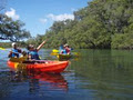 Evans River Cruises & Kayaks image 1