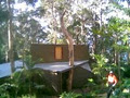 Experienced Tree Services Pty. Ltd. image 1