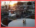 Ferrymans Seafood Cafe image 1